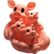 Schweine Familie für die Badewanne